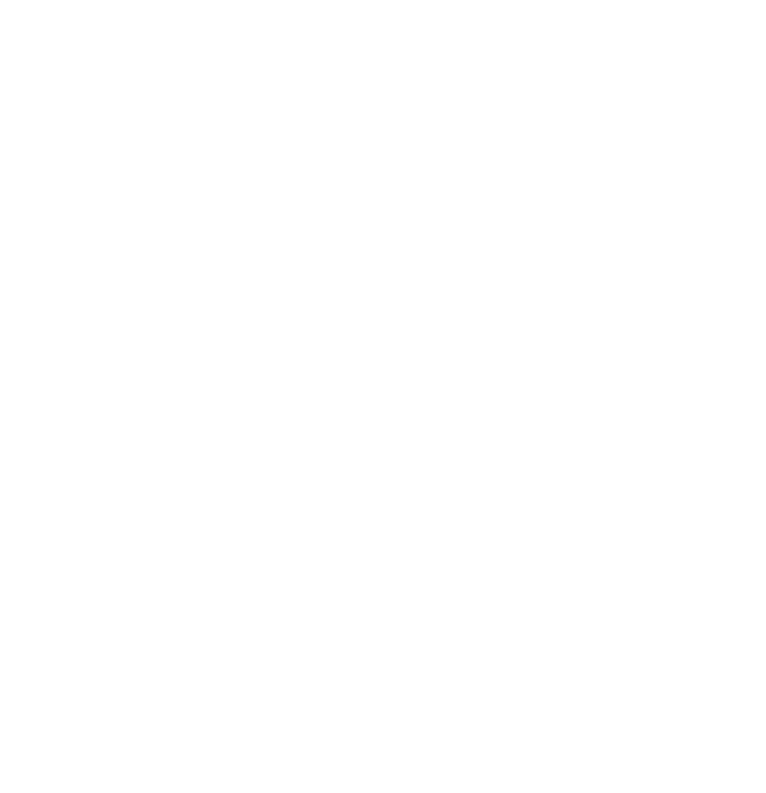 VFI-YBBS Logo